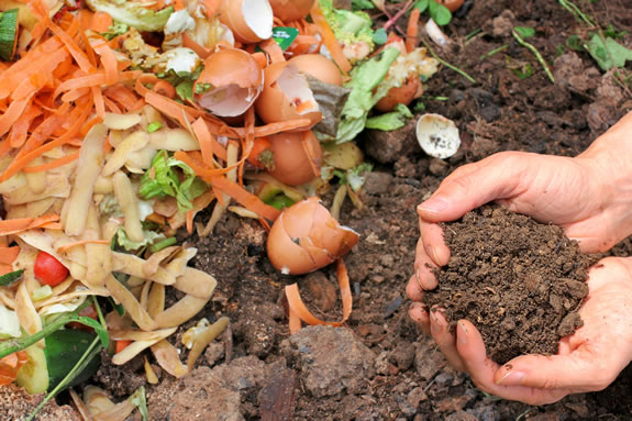 Un compost dans un jardin 