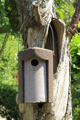Un nichoir en béton de bois de la marque Schwegler suspendu dans un arbre